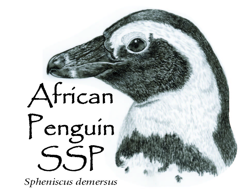 AP SSP logo